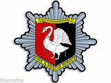 Buckinghamshire Fire and Rescue Service Remembrance Flower Lapel Pin